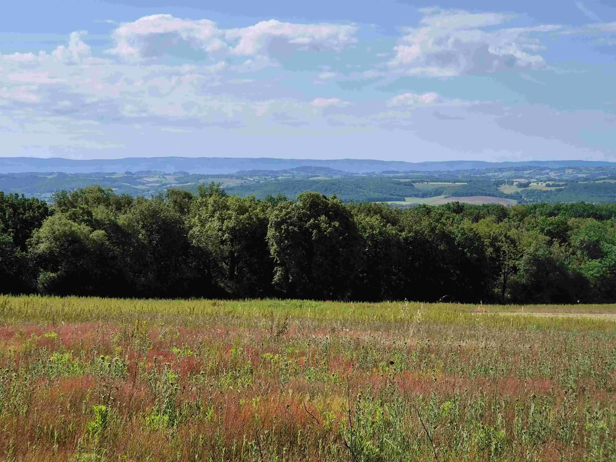 Paysage vallonné du Tarn